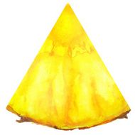 Watercolor pineapple fruit slice
