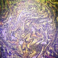 Abstract grunge background N26