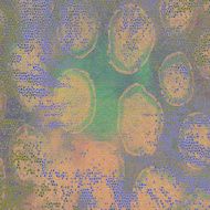 Grunge texture background N3