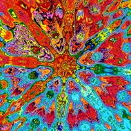 Colorful psychedelic structure Red petal Wet paint backdrop Melting rust