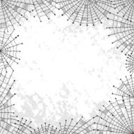 Background with spiderweb N2