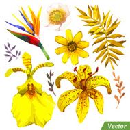 Vector illustration with watercolor flowers N35