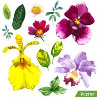 Vector illustration with watercolor flowers N36