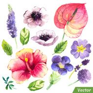 Vector illustration with watercolor flowers N45