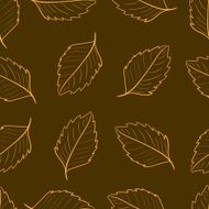Contours of sharp leaves N2
