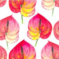 Vector illustration with red anthurium N2