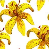 Vector illustration with yellow lily N2