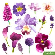 Vector illustration with watercolor flowers N51