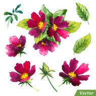 Vector illustration with watercolor flowers N52