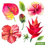 Vector illustration with watercolor flowers N53