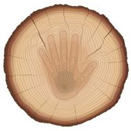 Wood Rings Stop Hand Sign Nature Protection Age