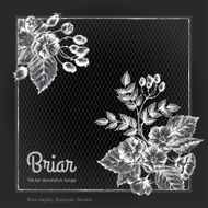 Two corner ornaments on border with briar Chalk blackboard N2