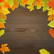 vector autumn background on wooden board N2