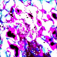 colorful art abstract purple background N2