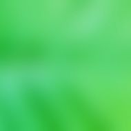 soft green background