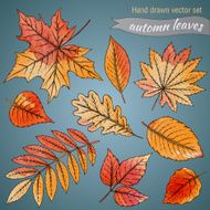 Botanical set highly detailed hand drawn leaves with watercolor