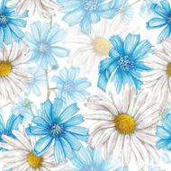 Chicory and chamomile N2