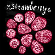 Strawberry hand drawn vector illustration N3