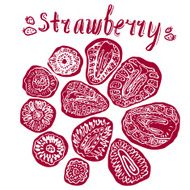 Strawberry hand drawn vector illustration N4