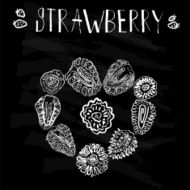 Strawberry hand drawn vector illustration N7