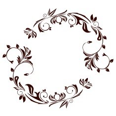 Luxury card or invitation N16