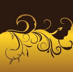 Luxury card or invitation N17
