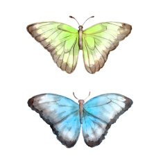 Magic Watercolor Butterflies N2