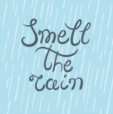 Smell the rain typography poster N2