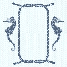 Nautical card with frame marine knots ropes and seahorse N4