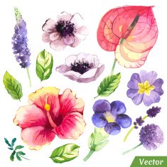 Vector illustration with watercolor flowers N45