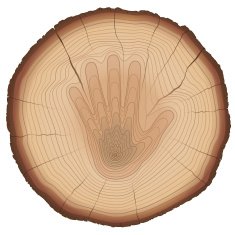Wood Rings Stop Hand Sign Nature Protection Age