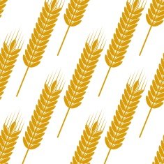 Seamless pattern of ears with ripe grains N2
