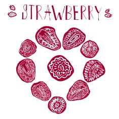 Strawberry hand drawn vector illustration N2