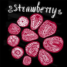 Strawberry hand drawn vector illustration N3