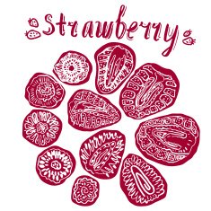 Strawberry hand drawn vector illustration N4