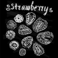 Strawberry hand drawn vector illustration N5