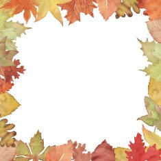 Autumn frame leaf N2