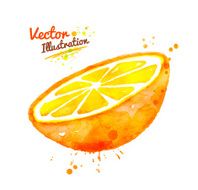 Watercolor half of an orange