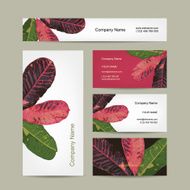 Business cards design botanical theme N2