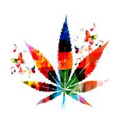 Colorful marijuana design
