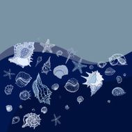 Background Sea shells N2