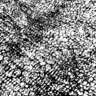 Abstract Overlay Texture Vector Grunge N2