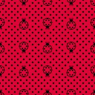 Ladybird with polka dots N2