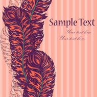 Vector colorful feather border N2