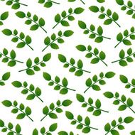 background of green leaves