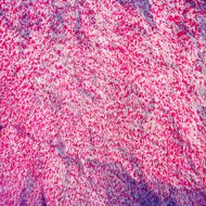grunge pink background