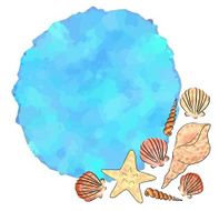 Sea Shells N6