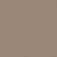 Vector wooden texture N2