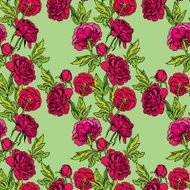 Seamless pattern with Realistic graphic Peony flowers N2