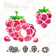 Raspberry icons set N2